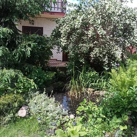 Olga Lviv