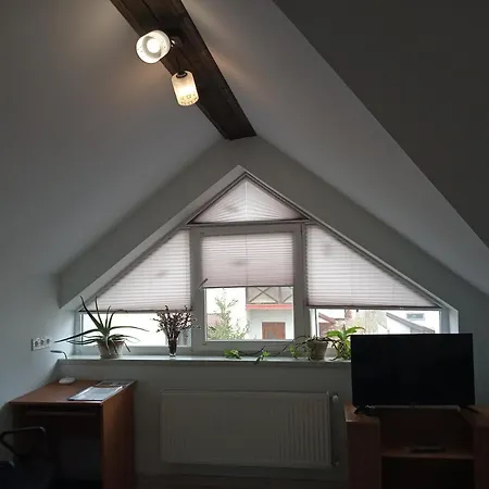 Family Apartments Lviv Villa Olga Pensjonat