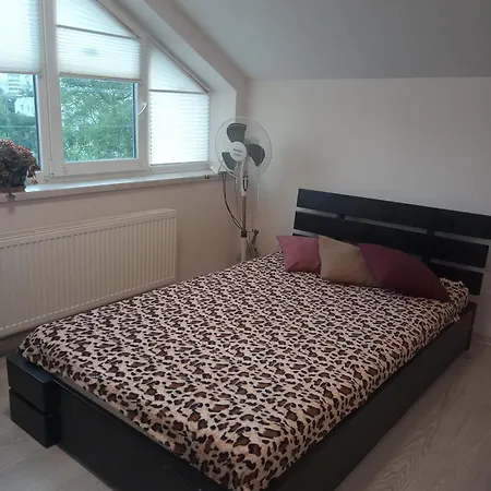 Guest house Olga