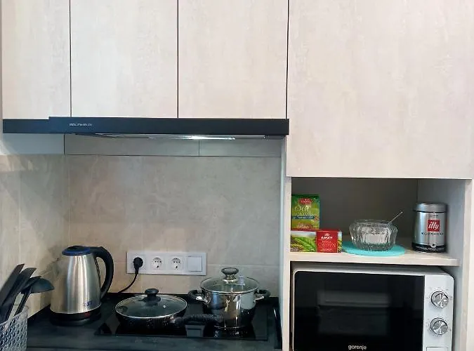 Family Apartments Lviv Villa Olga *