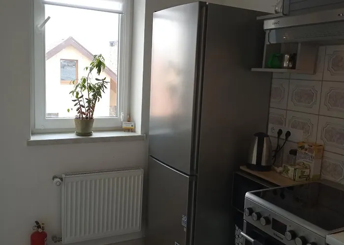 Pensjonat Family Apartments Lviv Villa Olga *