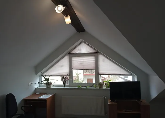 Olga Гостевой дом